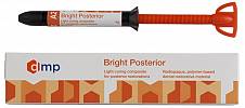 Bright Posterior Bulk Fill Composite syringe 4g A1