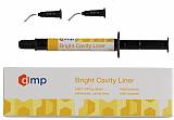 BRIGHT Cavity Liner syringe 2g syringe , tips